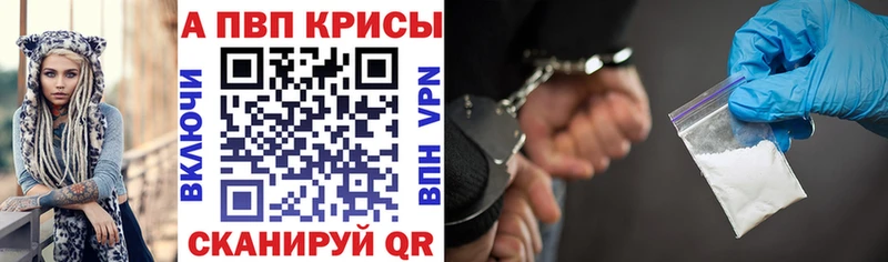 А ПВП СК  Суворов 