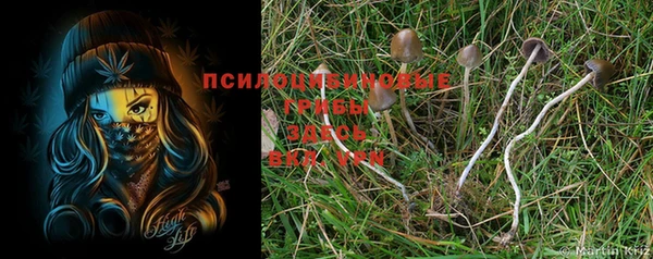 мдма Бородино